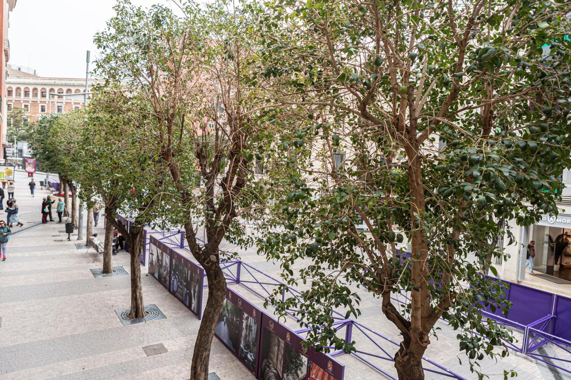 Royar Apartamentos Jaén Εξωτερικό φωτογραφία